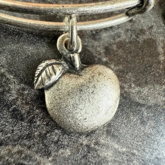 Alex and Ani Apple Charm Bracelet Silver Nature Expandable Bangle - Picture 6 of 14